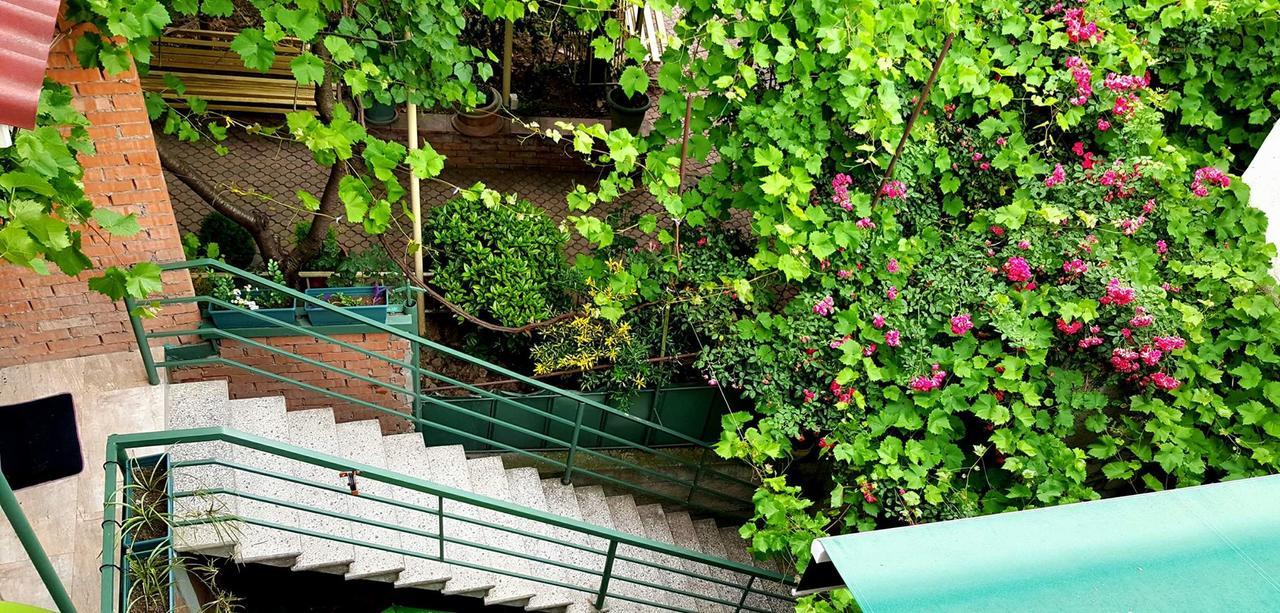 تبليسي Guesthouse Different المظهر الخارجي الصورة