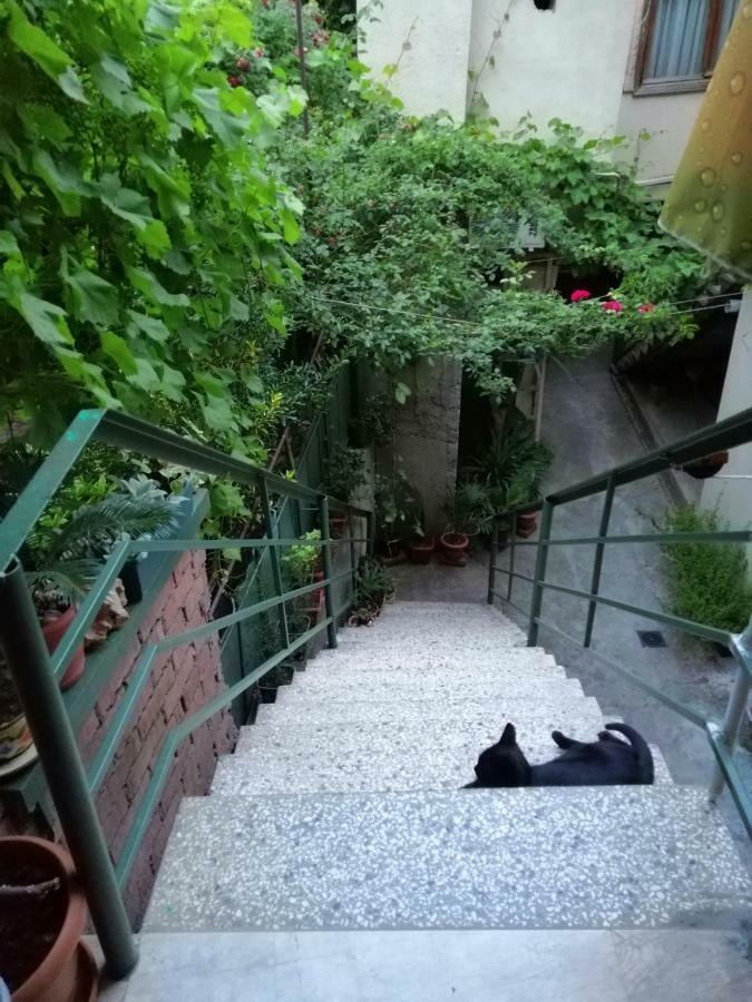 تبليسي Guesthouse Different المظهر الخارجي الصورة